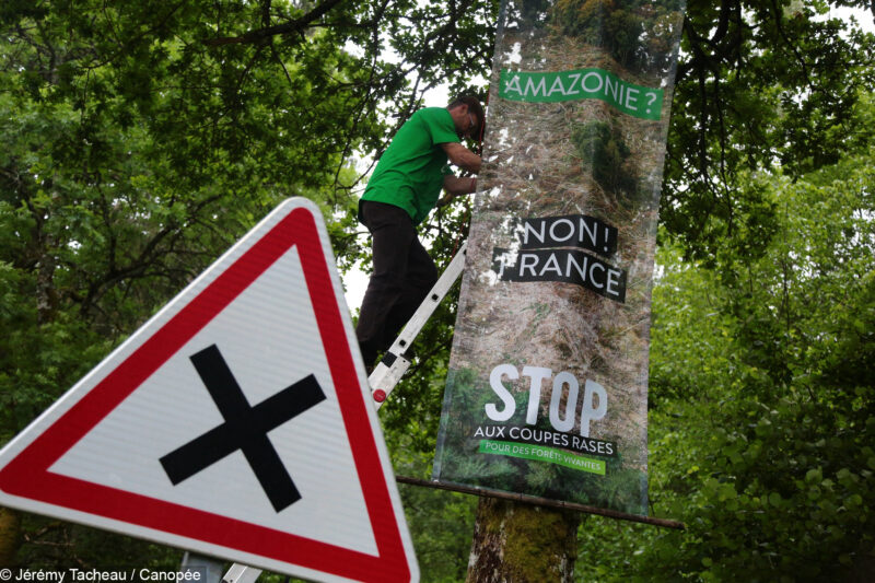 Mega mobilisation stop coupe-rase canopée