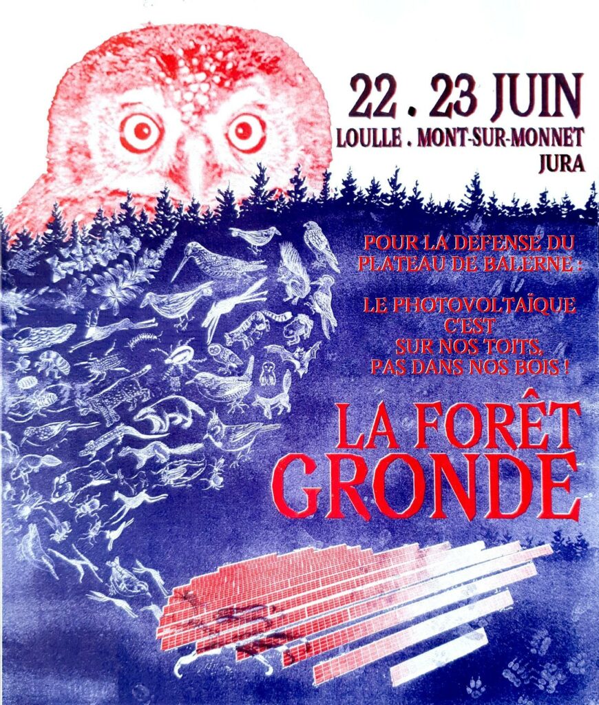 La forêt gronde